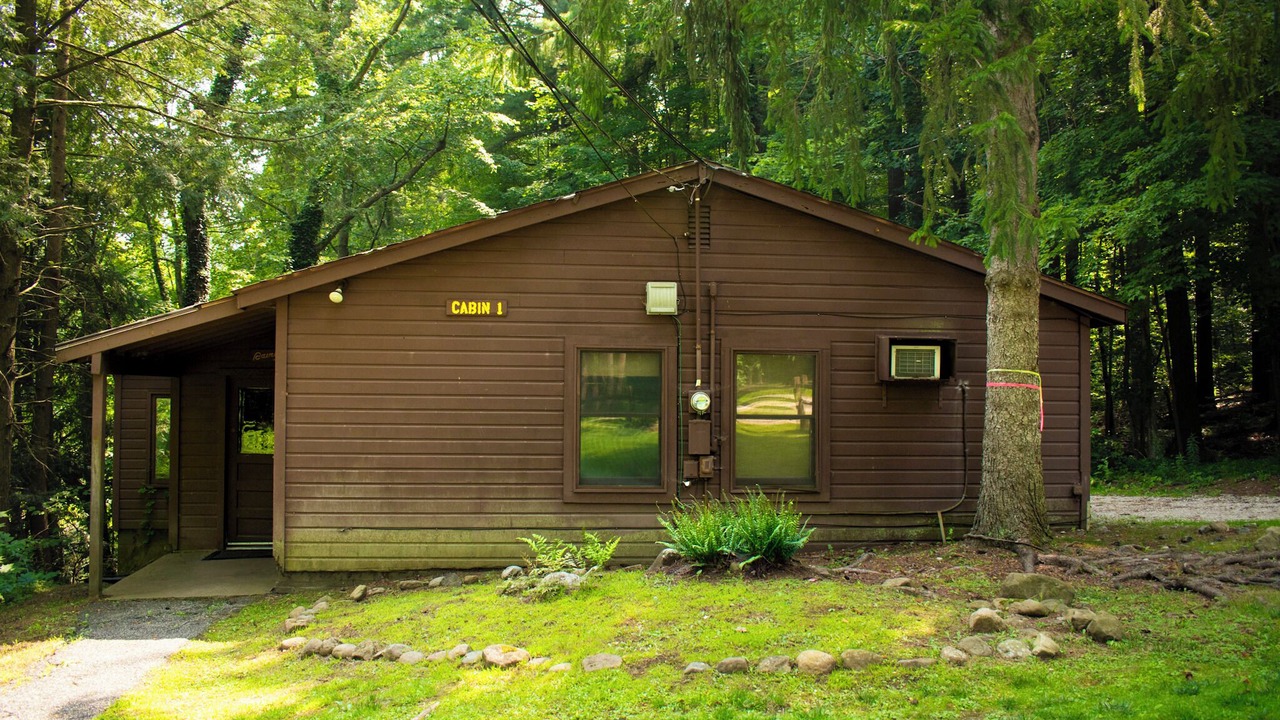 Photo of Outdoor in Bainbridge