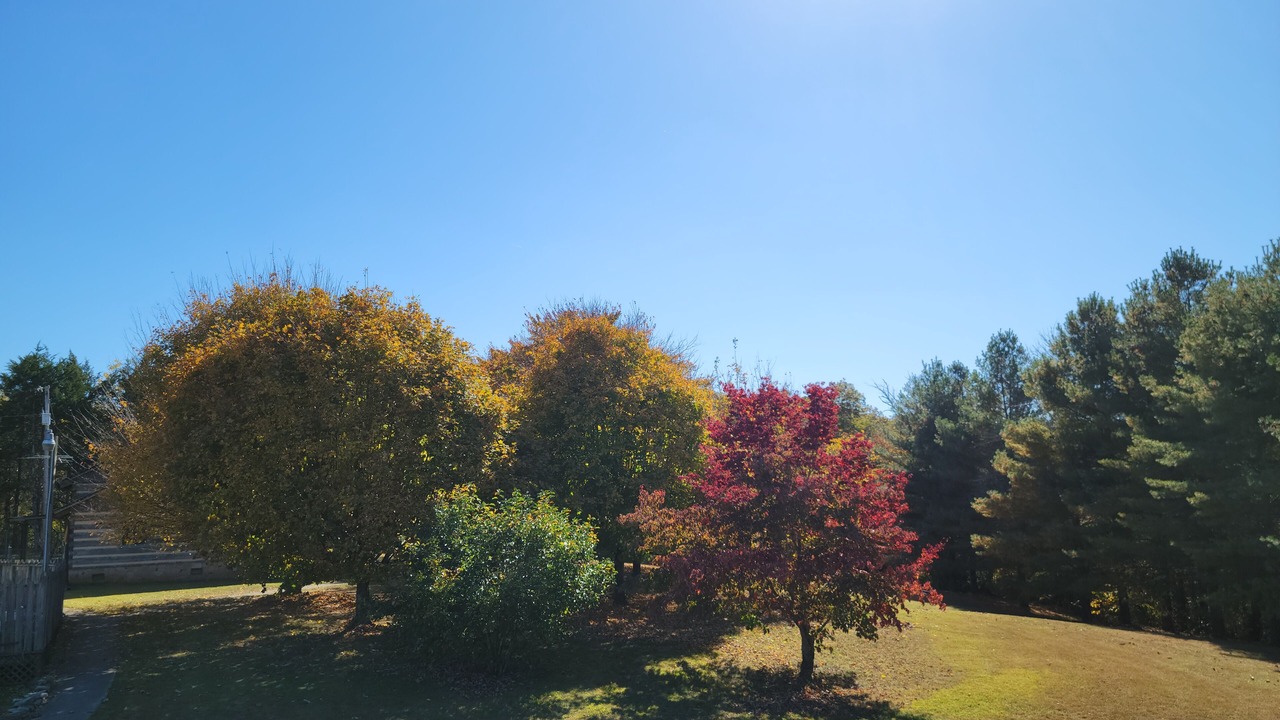 Photo of Outdoor in Kodak