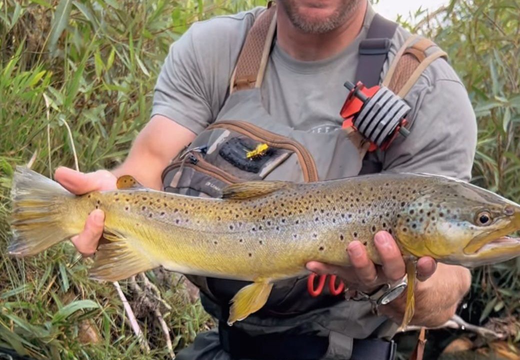 Photo of Others in Cascade