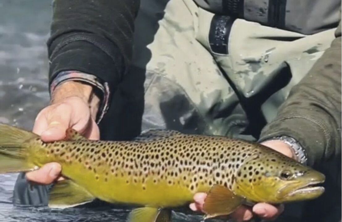 Photo of Others in Cascade