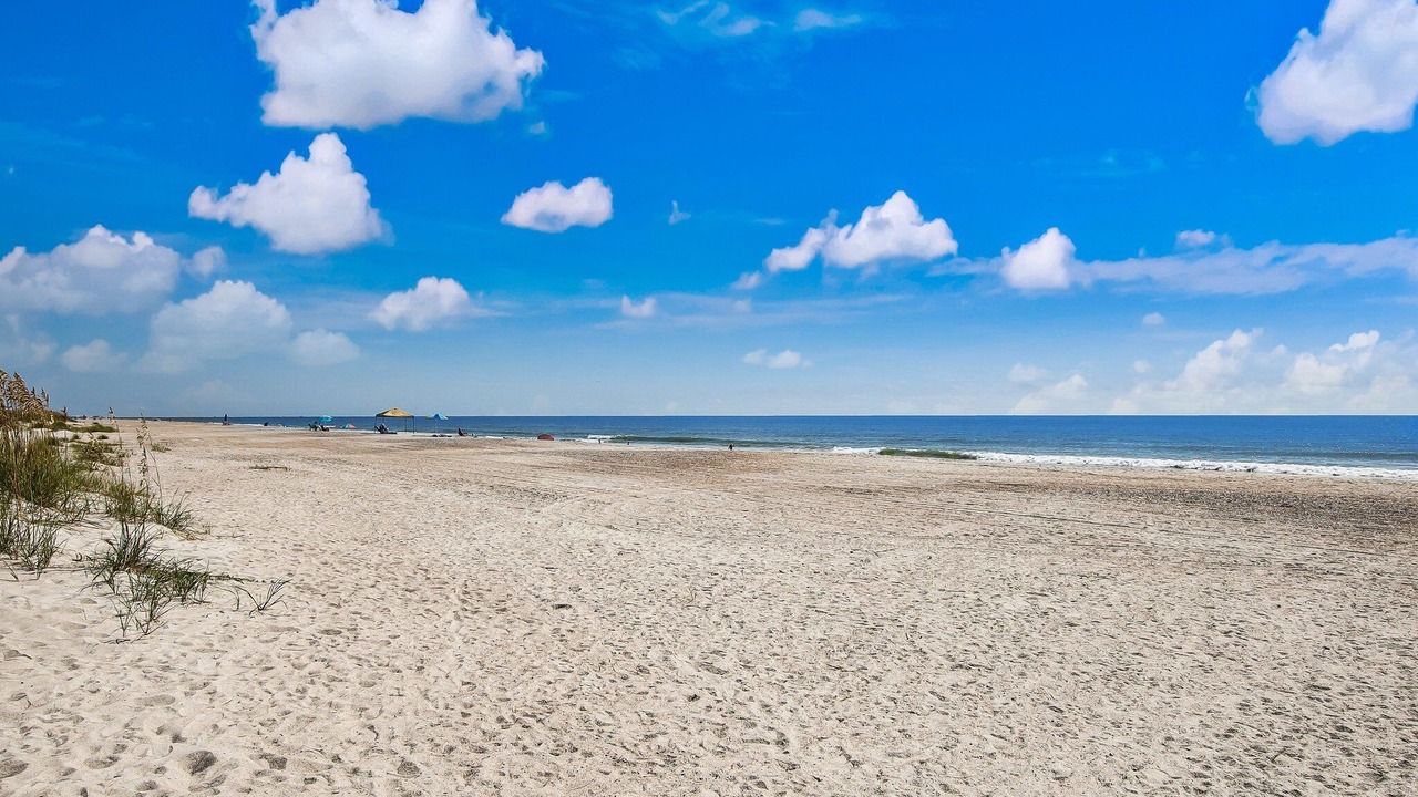 Photo of Others in Fernandina Beach