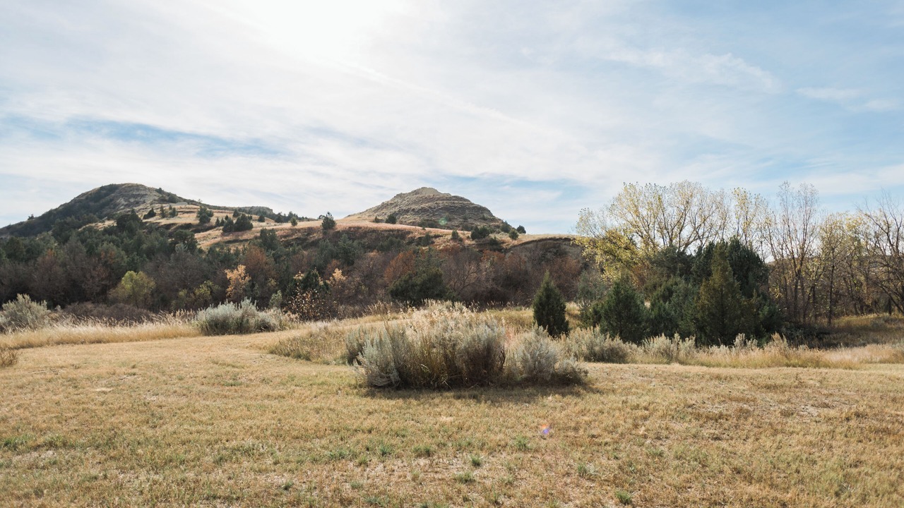 Photo of Others in Medora