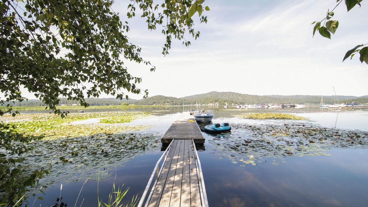 Photo of Outdoor in Newman Lake