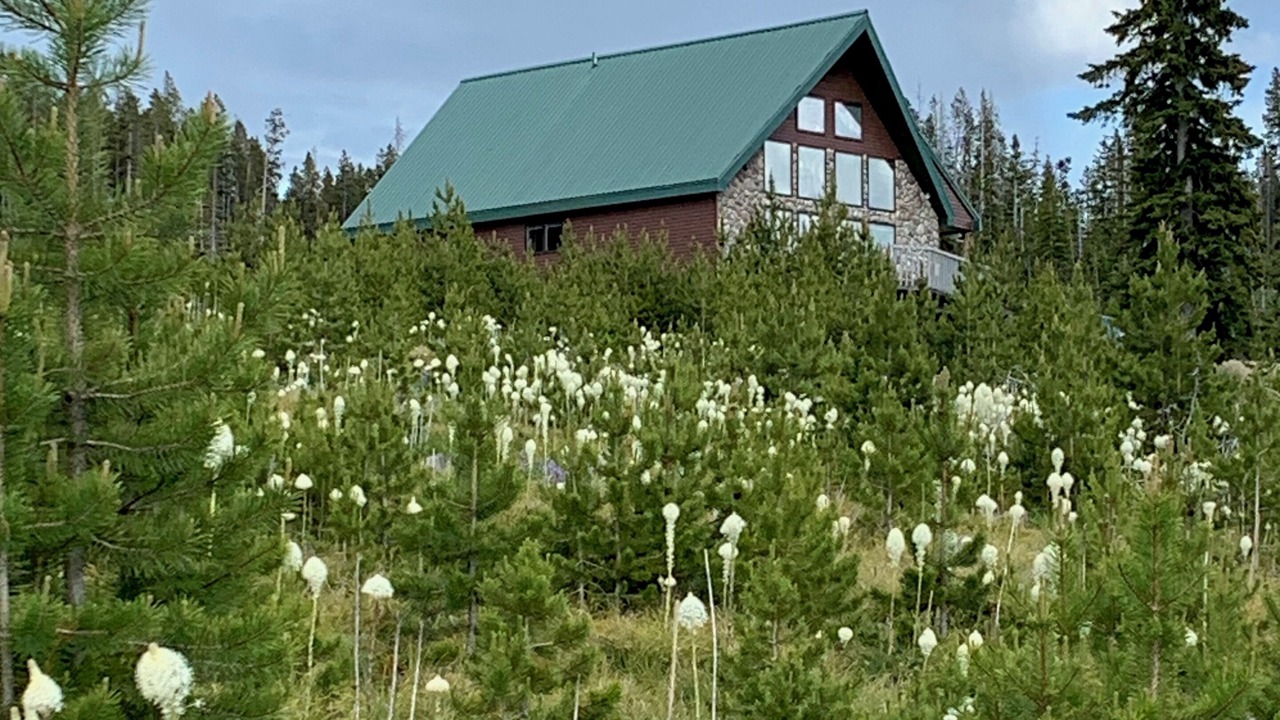 Photo of Outdoor in Georgetown