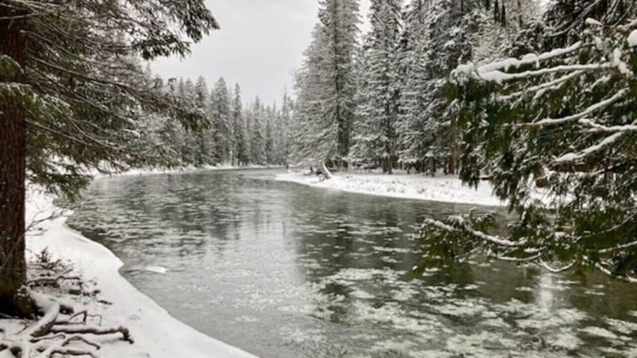 Photo of Others in Bonners Ferry