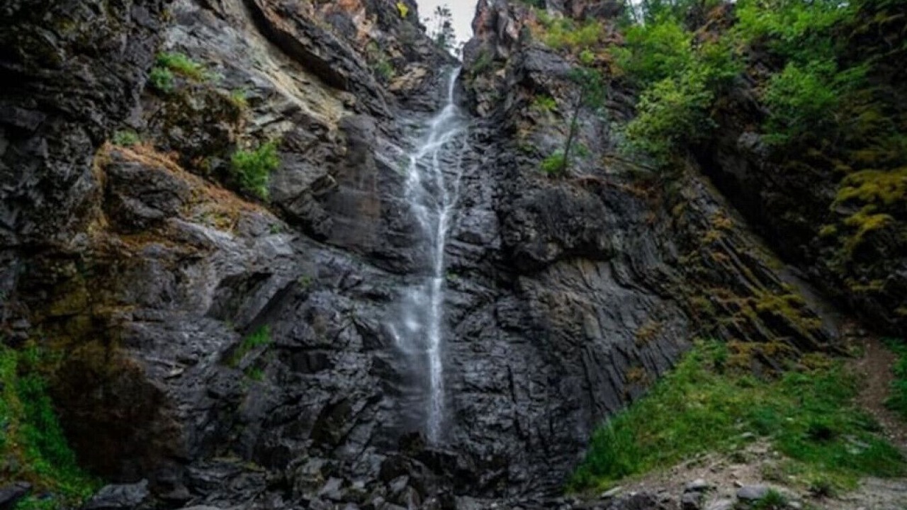 Photo of Others in Bonners Ferry