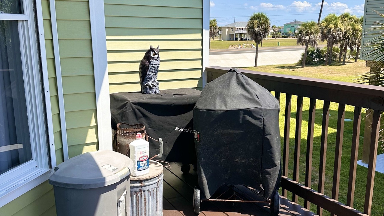 Photo of Outdoor in Indian Beach