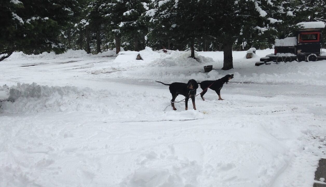 Photo of Outdoor in Seeley Lake
