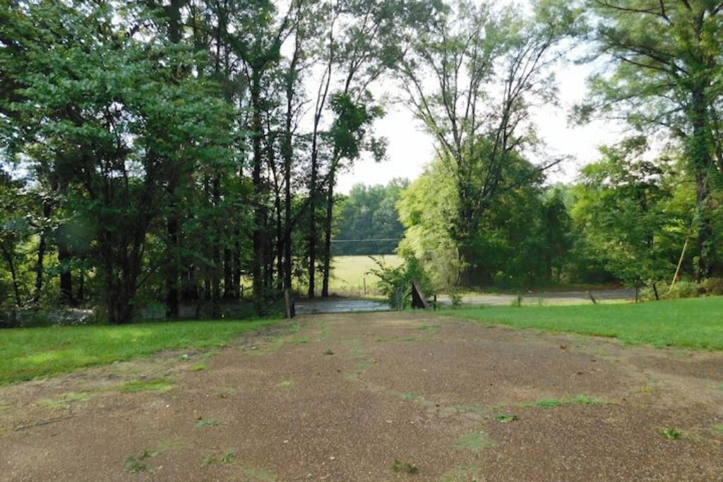 Photo of Outdoor in Tie Plant