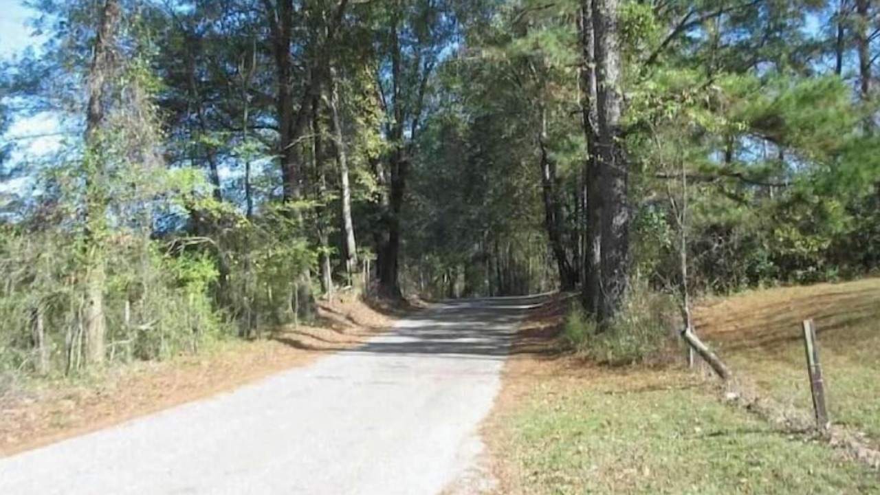 Photo of Outdoor in Tie Plant