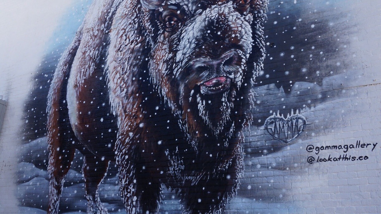 Photo of Others in Buffalo