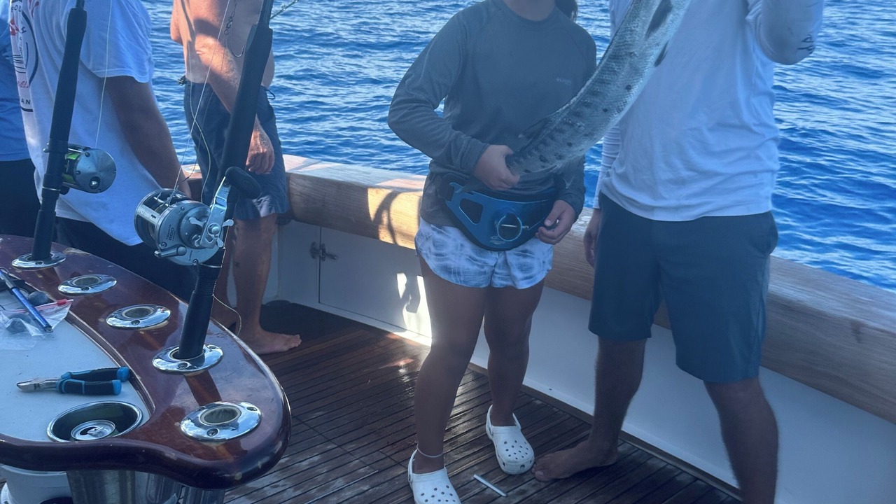 Photo of Others in Port Mansfield