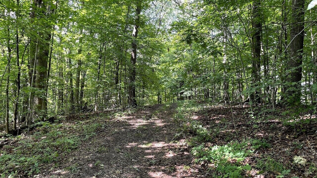 Photo of Outdoor in Cuyahoga Falls