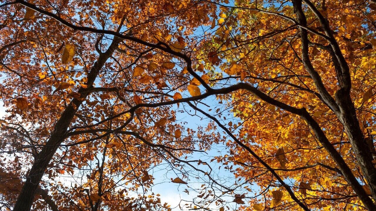 Photo of Outdoor in Cuyahoga Falls