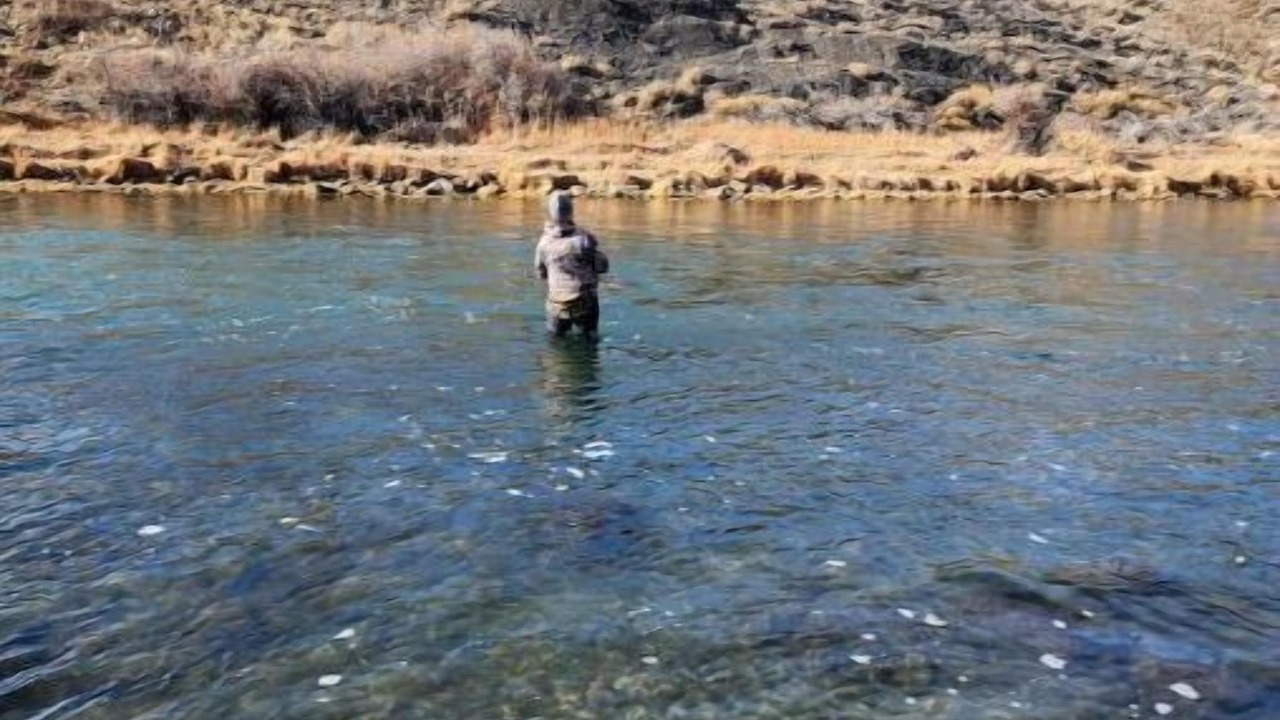 Photo of Others in Cody