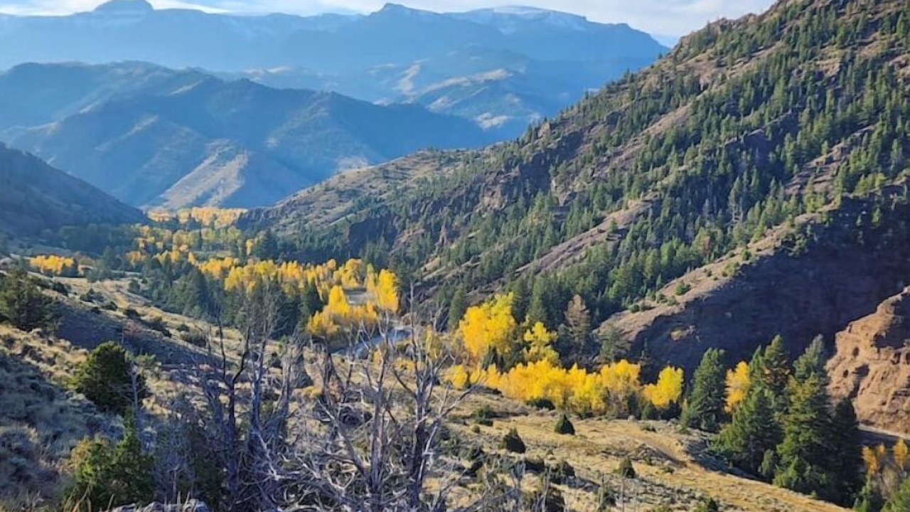 Photo of Outdoor in Cody