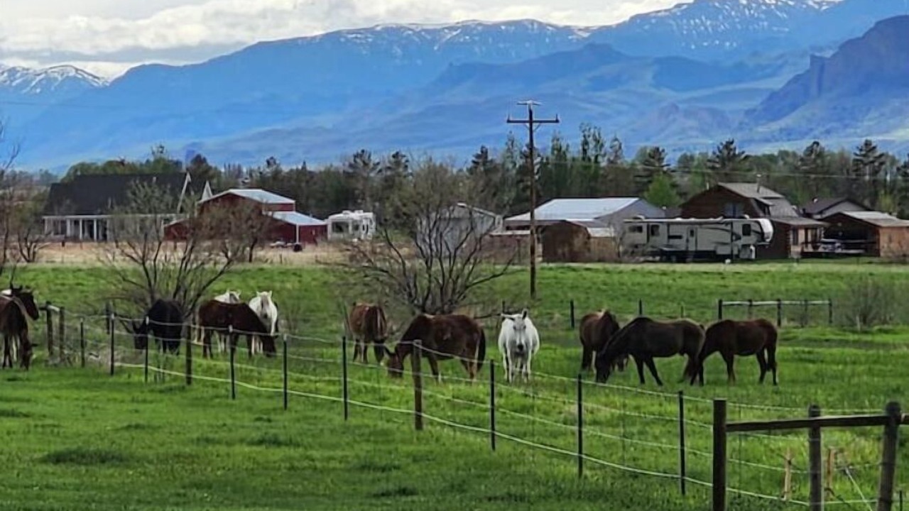 Photo of Outdoor in Cody