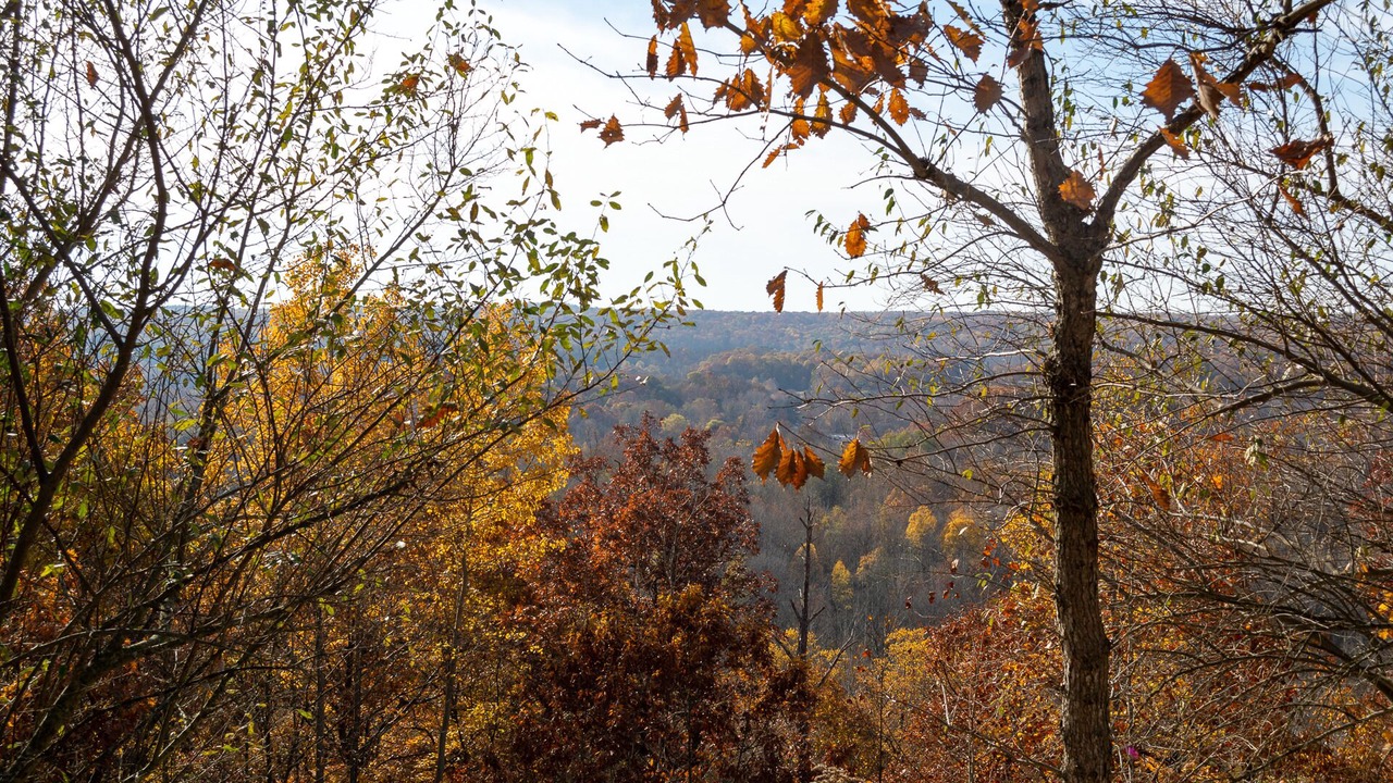 Photo of Outdoor in Cuyahoga Falls
