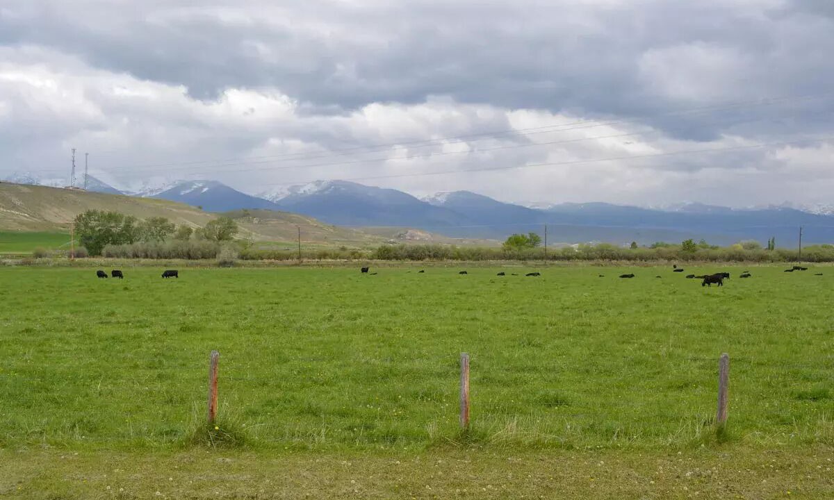 Photo of Outdoor in Salmon