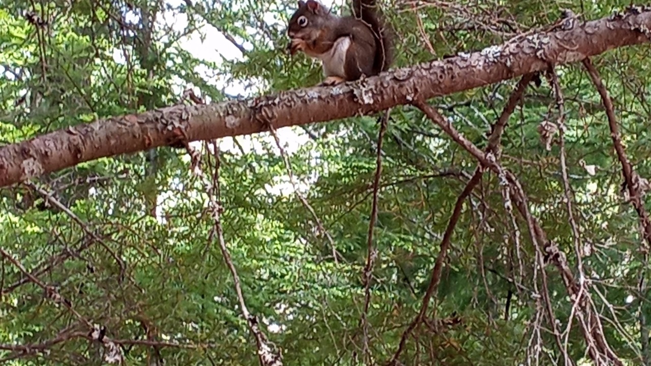 Photo of Outdoor in Troy