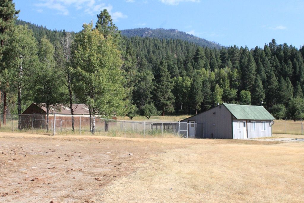Photo of Outdoor in Victor