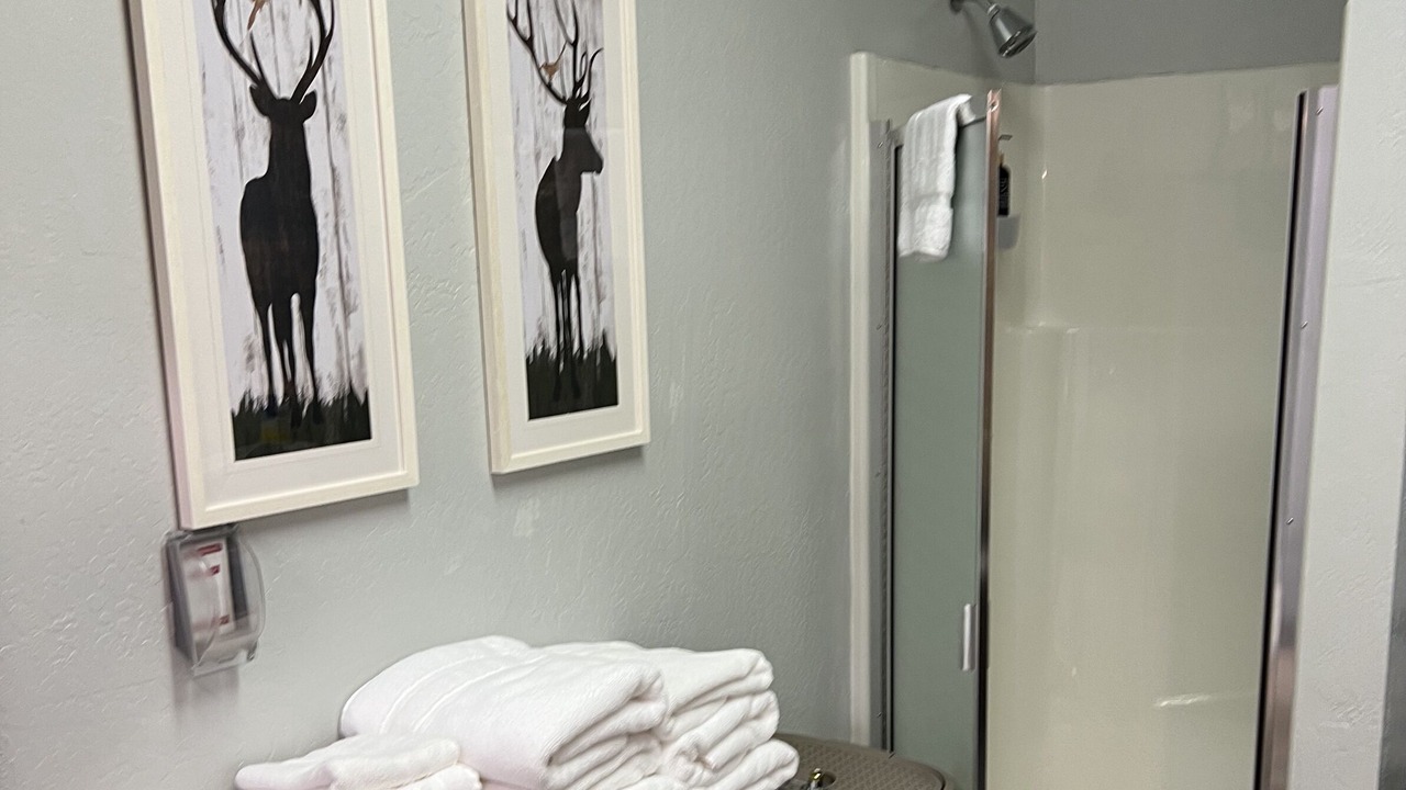 Photo of Bathroom in Seeley Lake