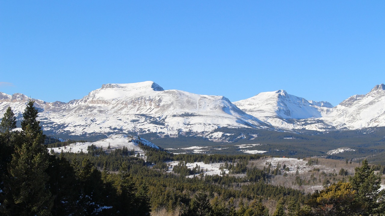Photo of Others in East Glacier Park
