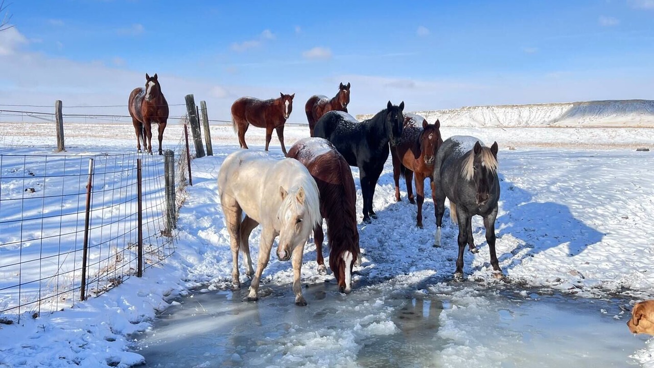 Photo of Others in Simms
