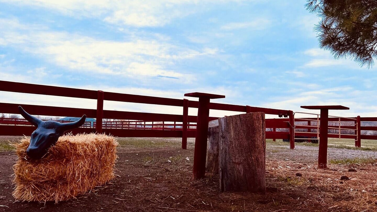 Photo of Outdoor in Simms
