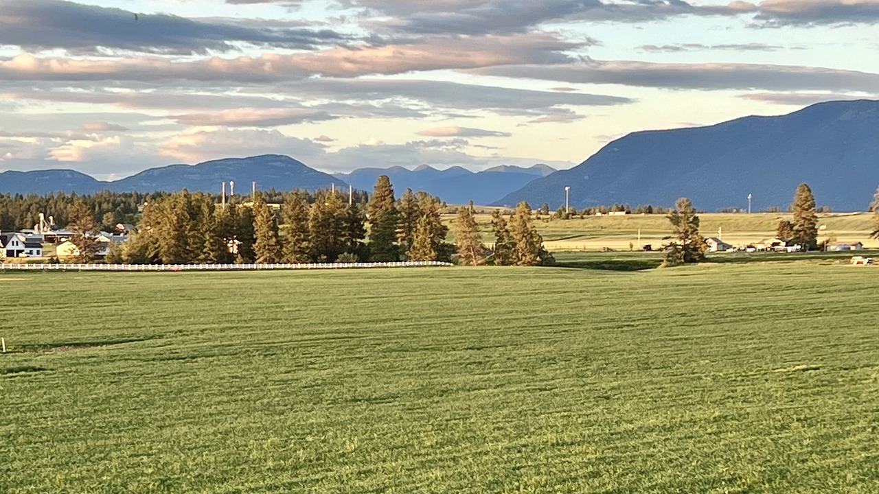 Photo of Others in Kalispell