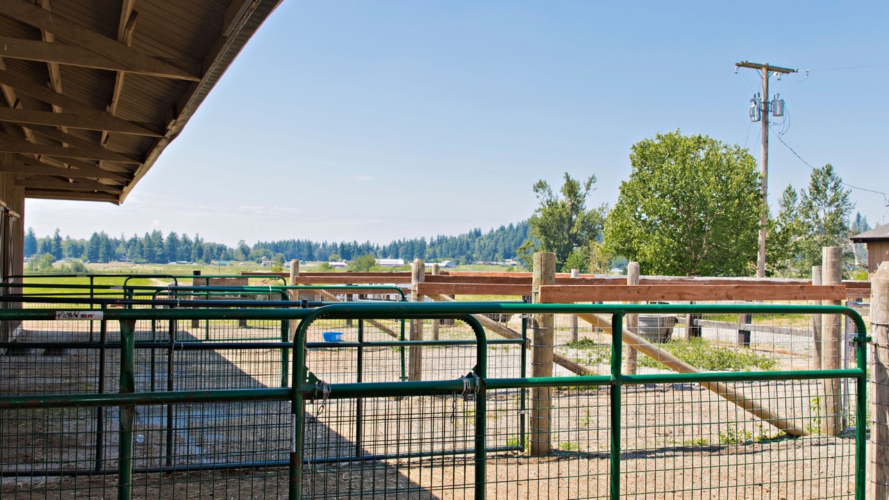 Photo of Outdoor in Enumclaw