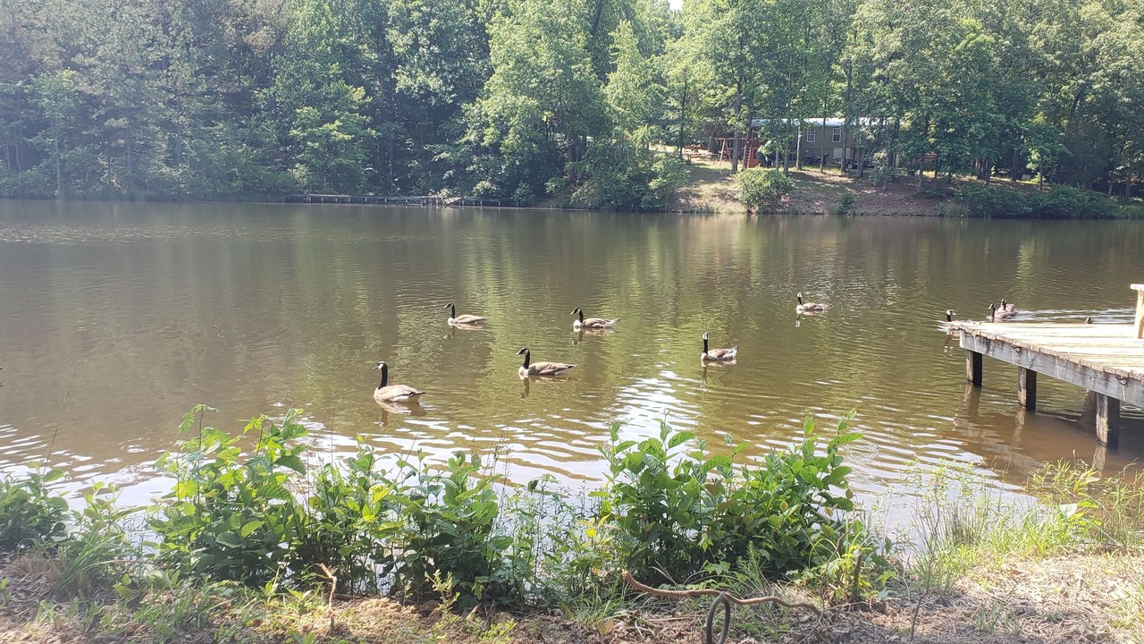 Photo of Outdoor in Saulsbury