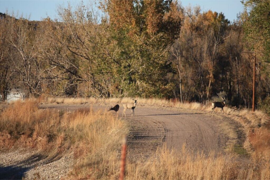 Photo of Others in Fort Laramie