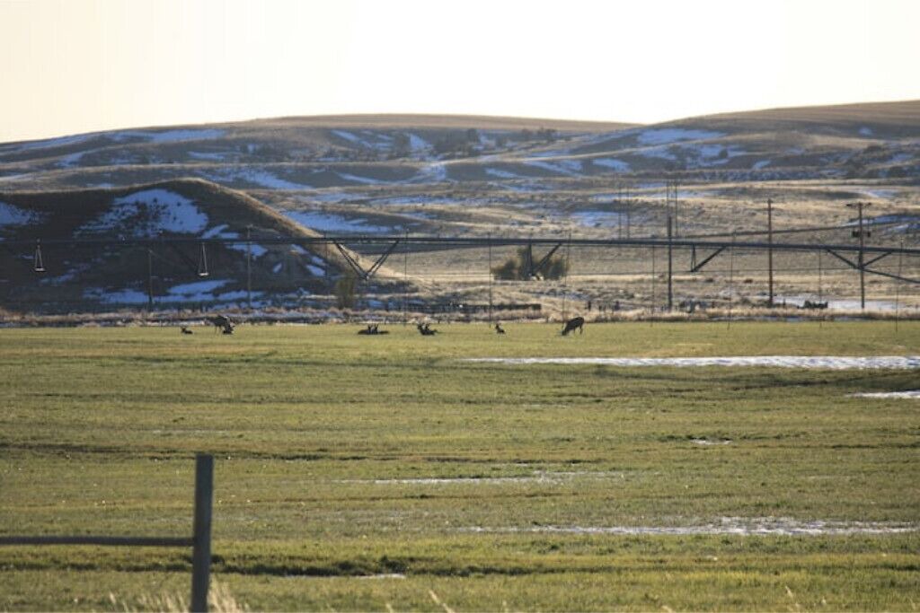 Photo of Others in Fort Laramie
