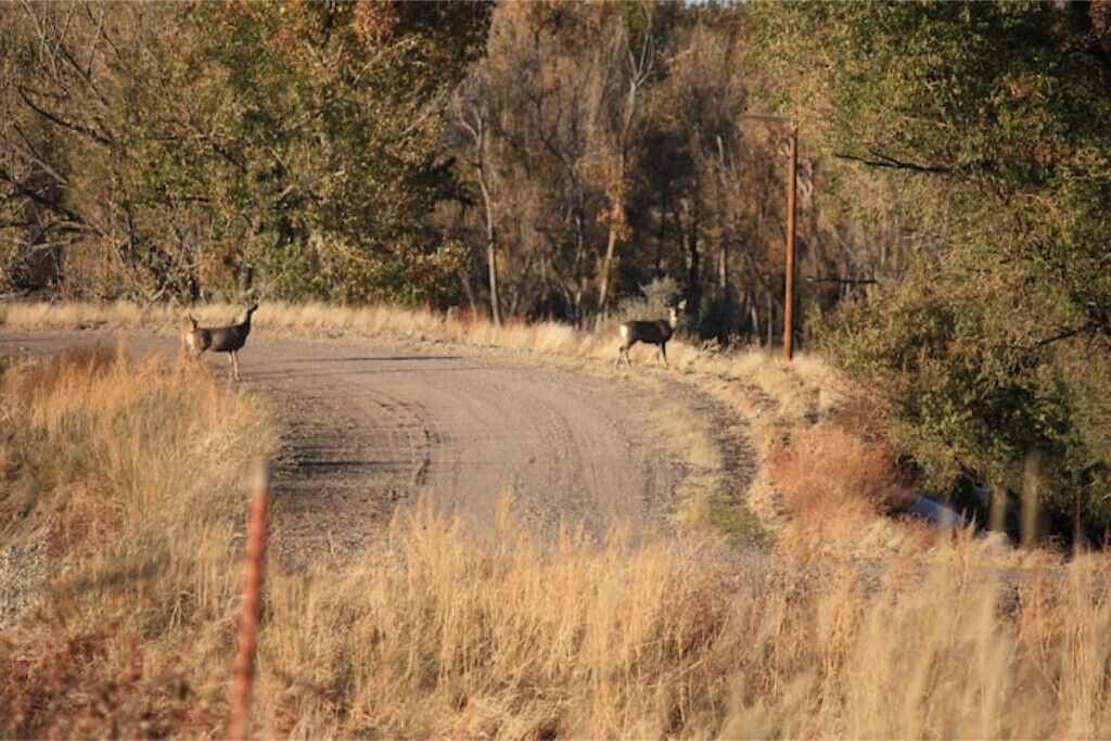 Photo of Outdoor in Fort Laramie