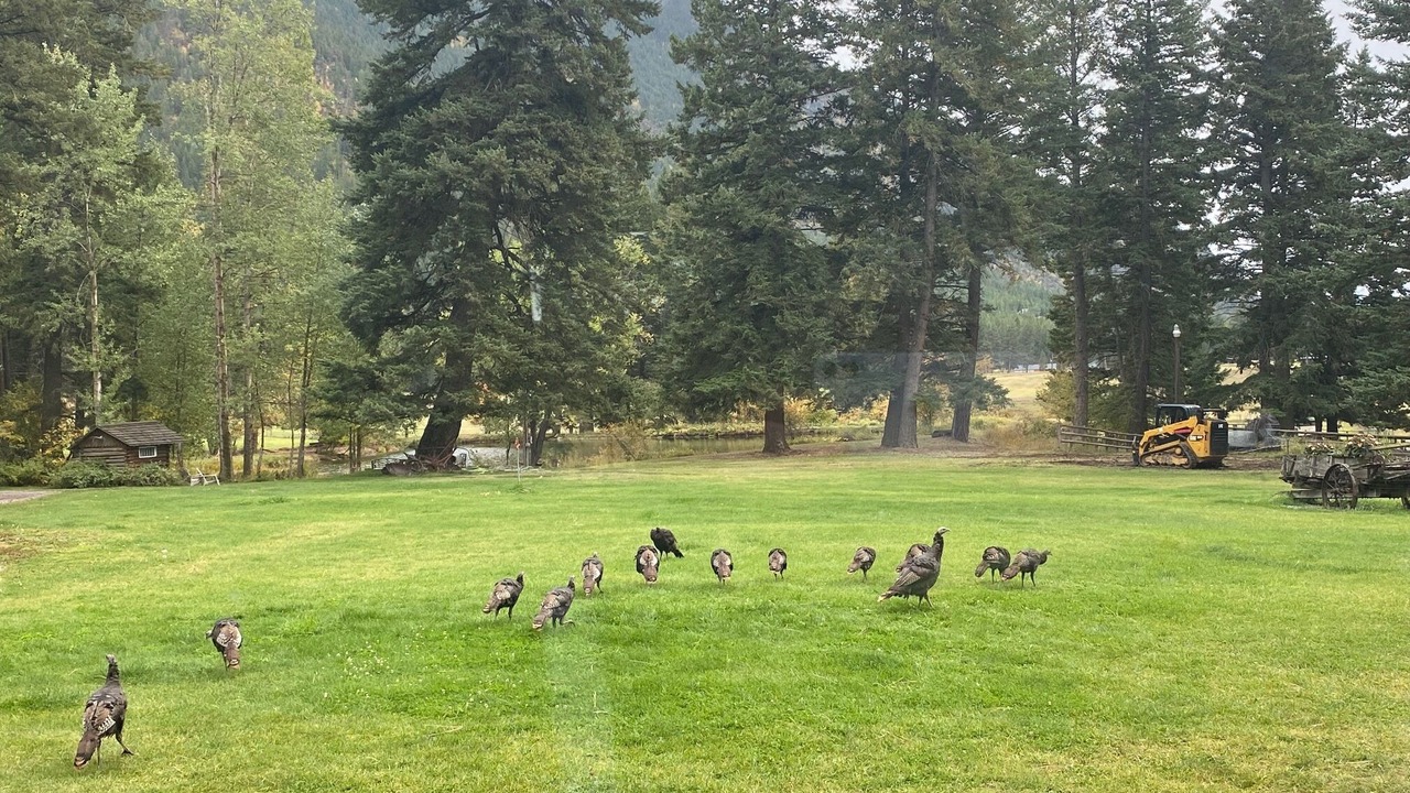 Photo of Others in Columbia Falls