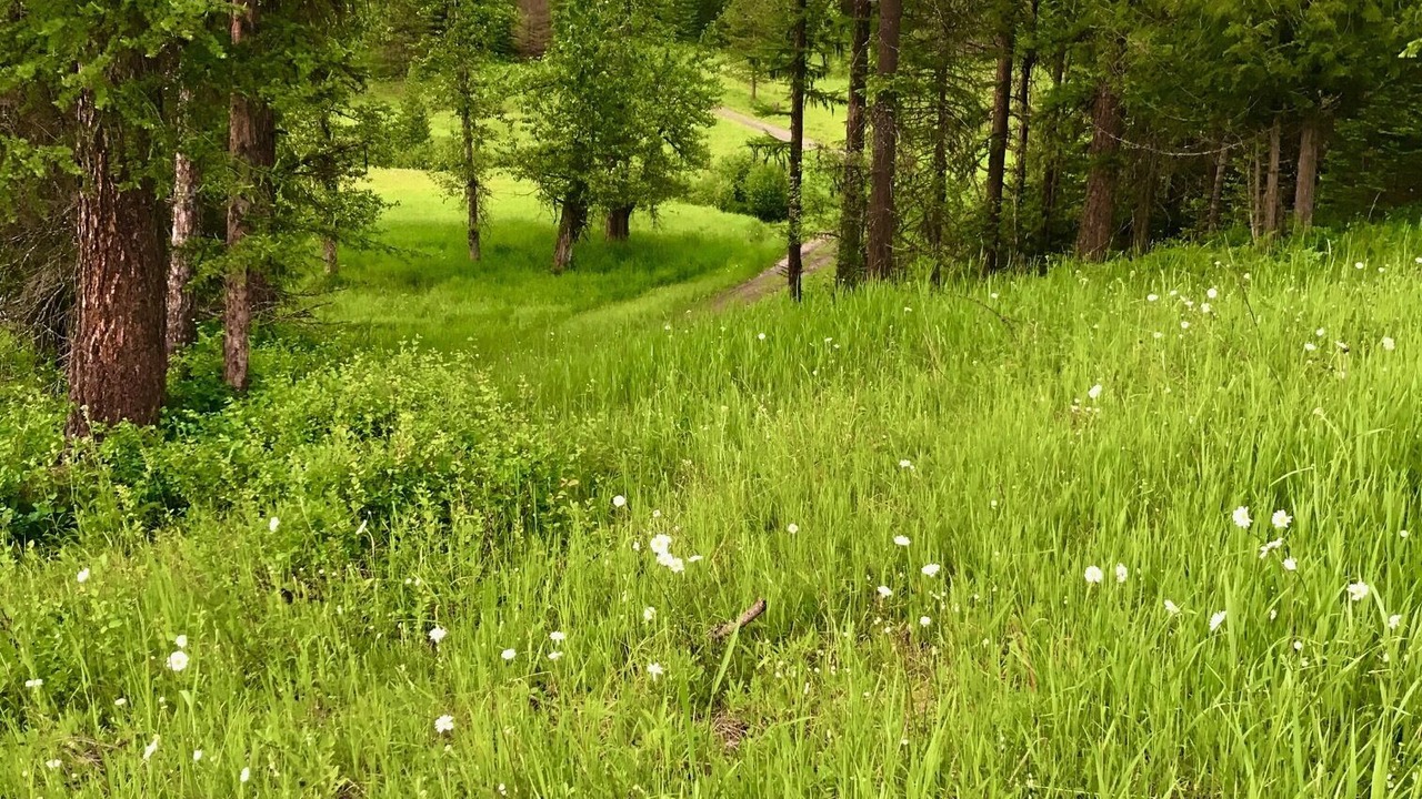 Photo of Outdoor in Heron