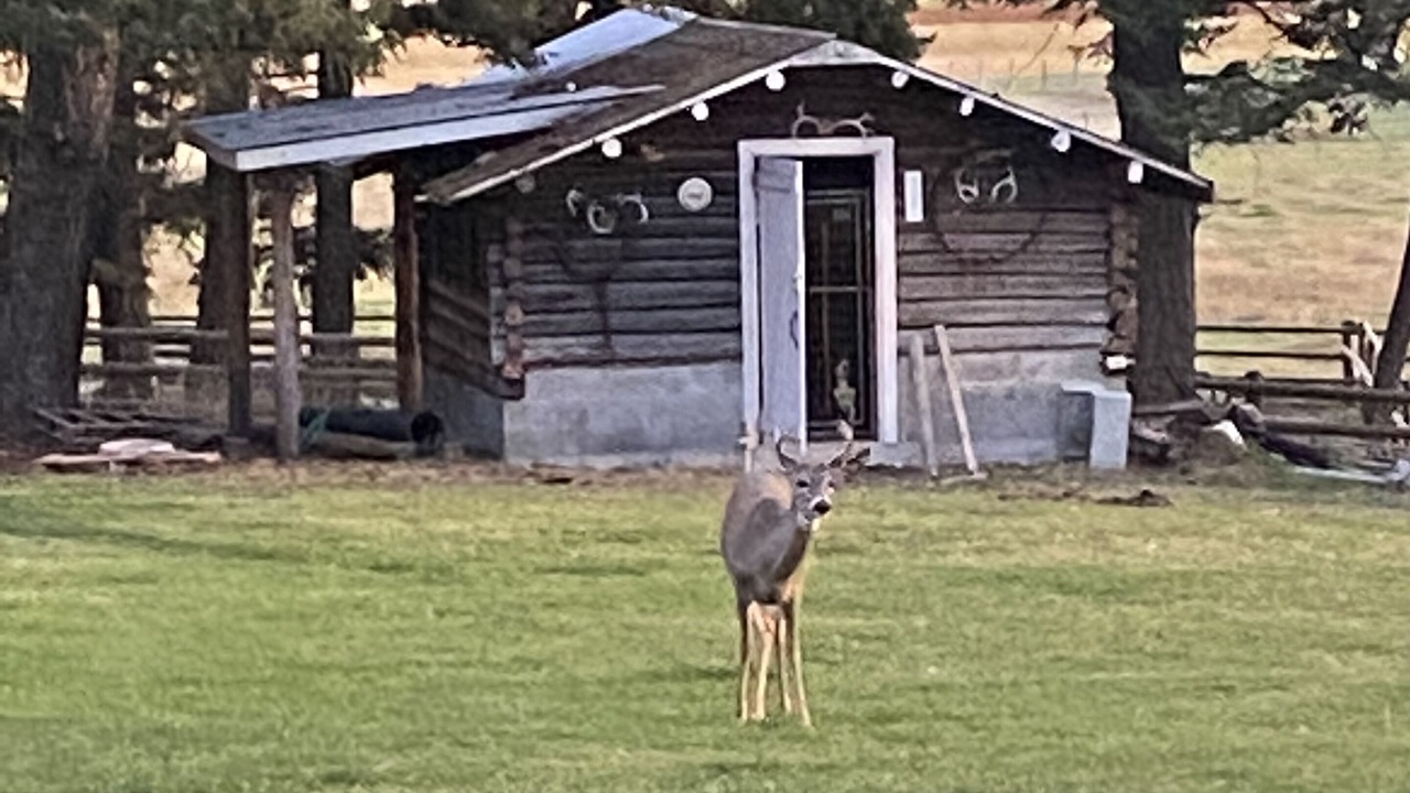 Photo of Others in Columbia Falls