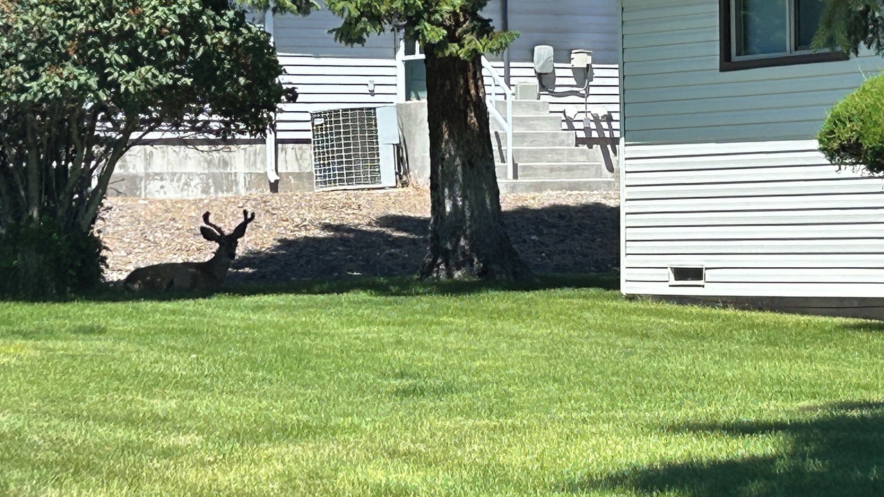 Photo of Outdoor in Challis