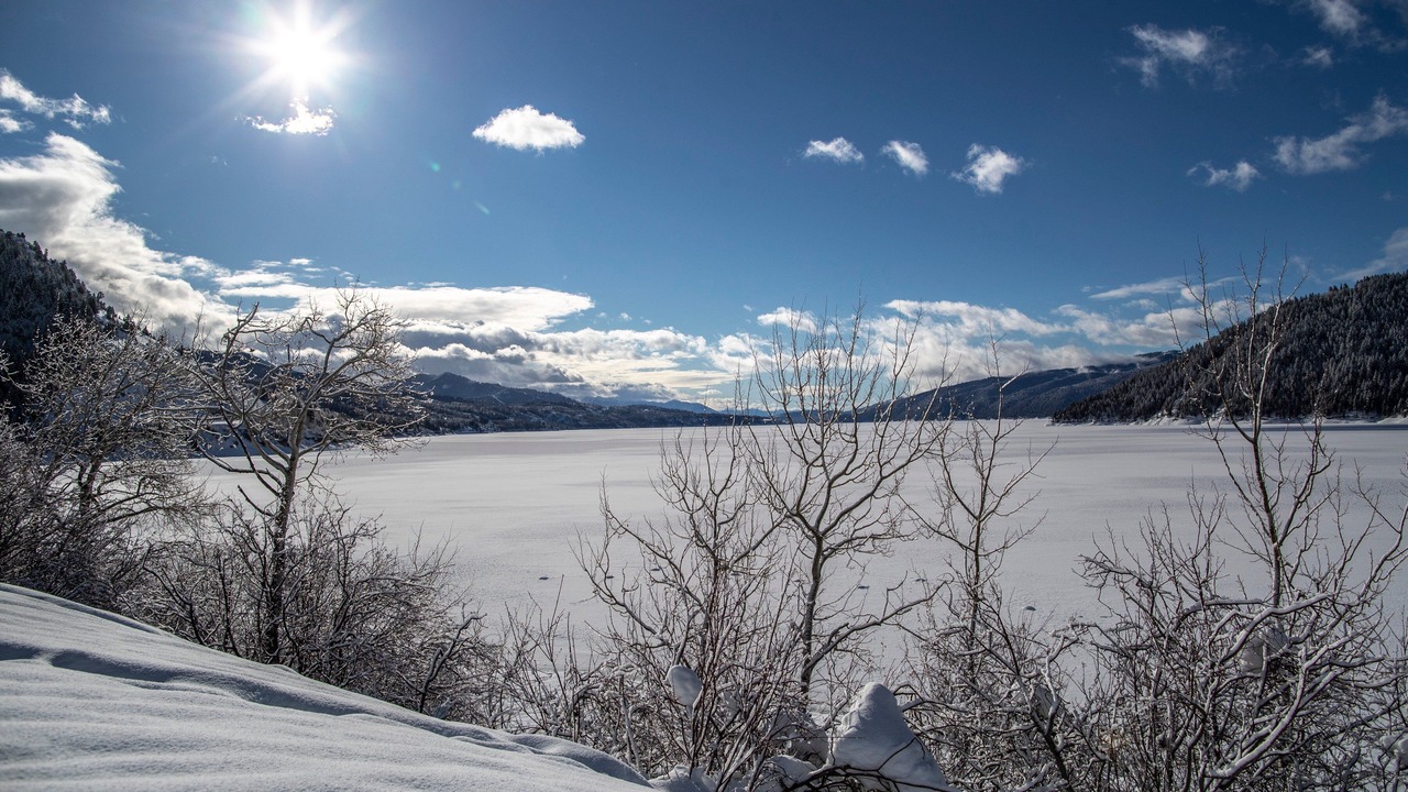 Photo of Others in Alpine Northeast