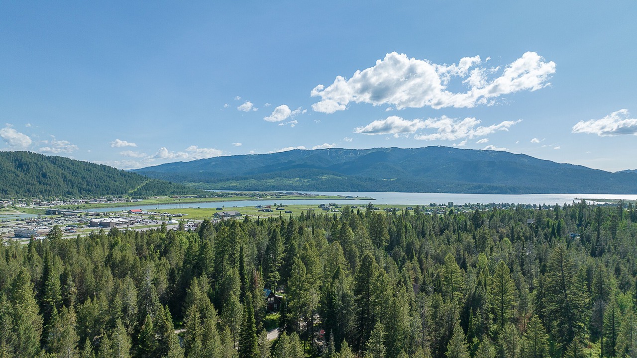 Photo of Others in Alpine Northeast