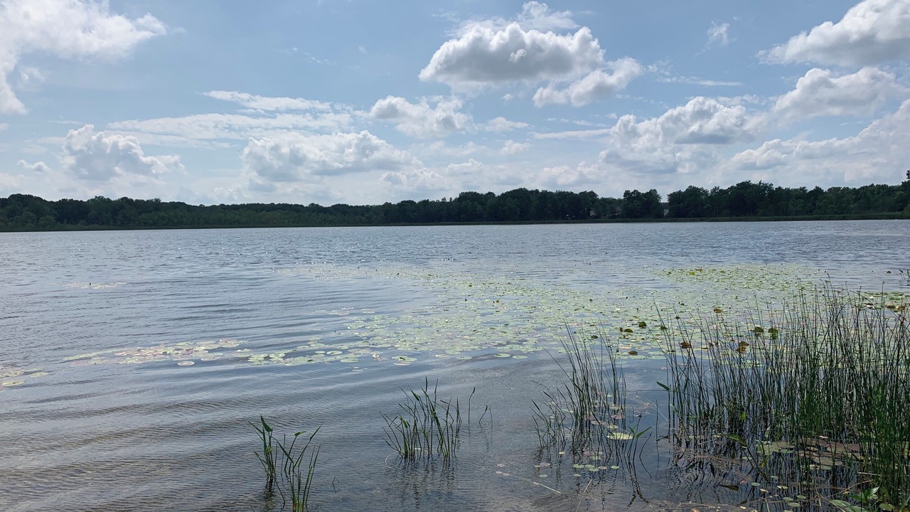 Photo of Outdoor in Lake Orion
