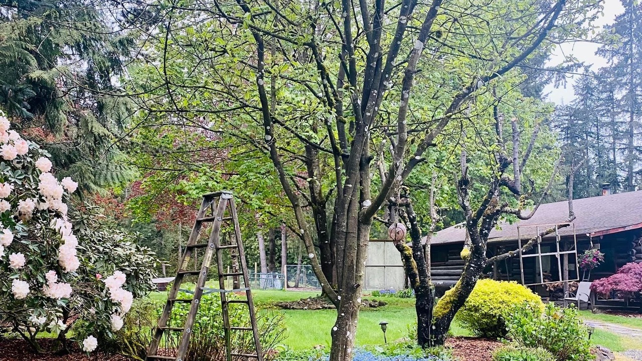 Photo of Outdoor in Lake Morton-Berrydale
