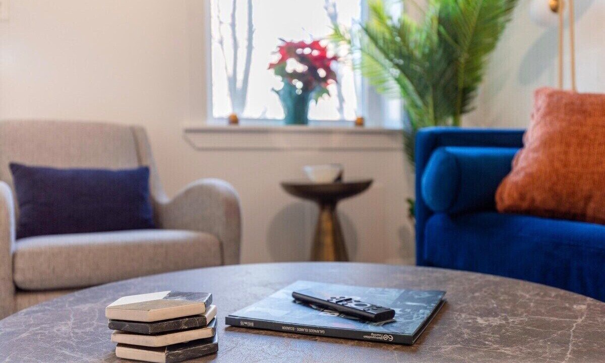 Photo of Livingroom in Truxton Circle