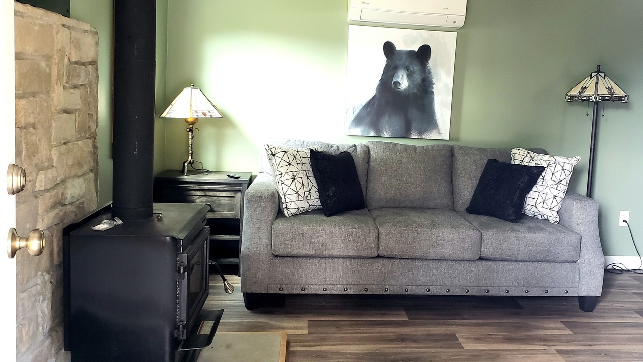 Photo of Livingroom in Langsville