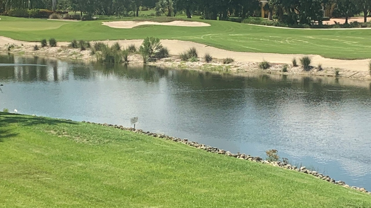 Photo of Others in Hammock Bay