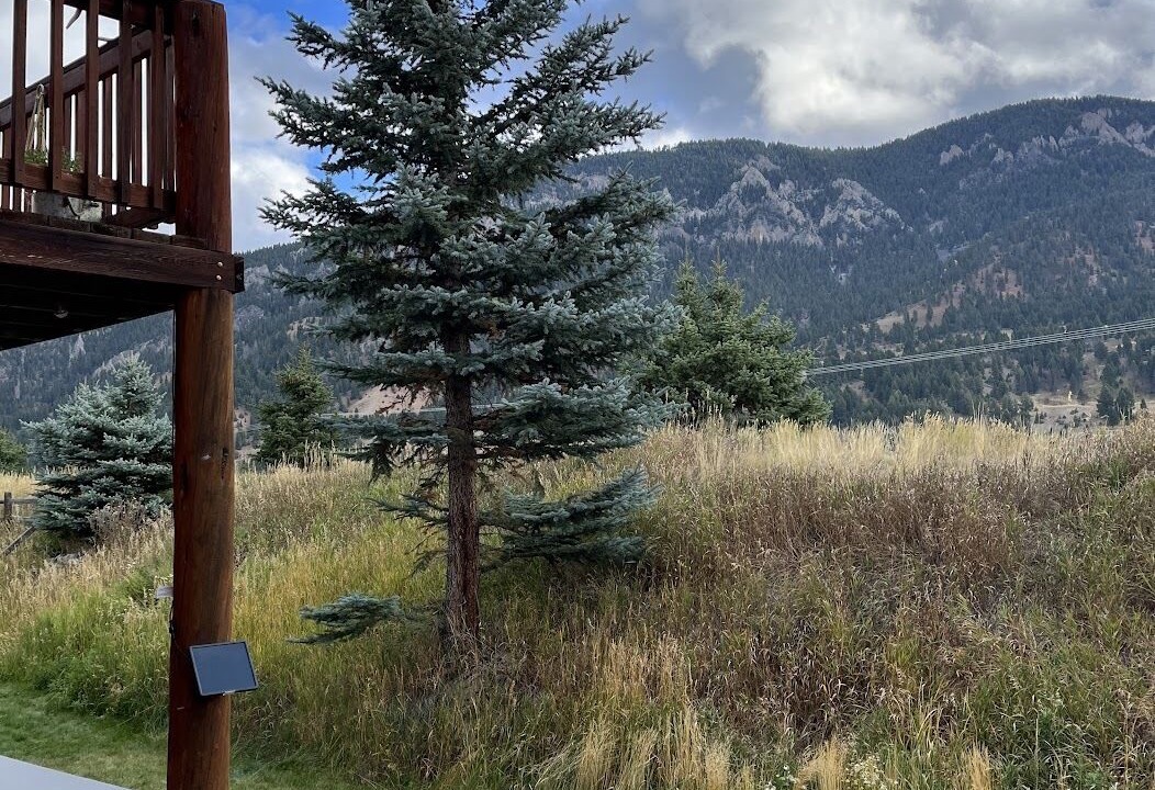 Photo of Outdoor in Porcupine Park