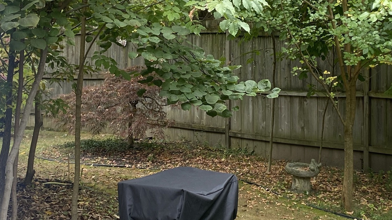 Photo of Others in Waynesville