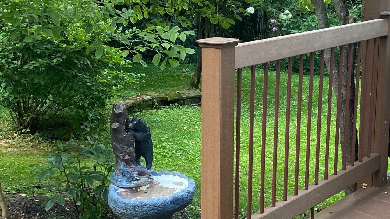 Photo of Outdoor in Waynesville