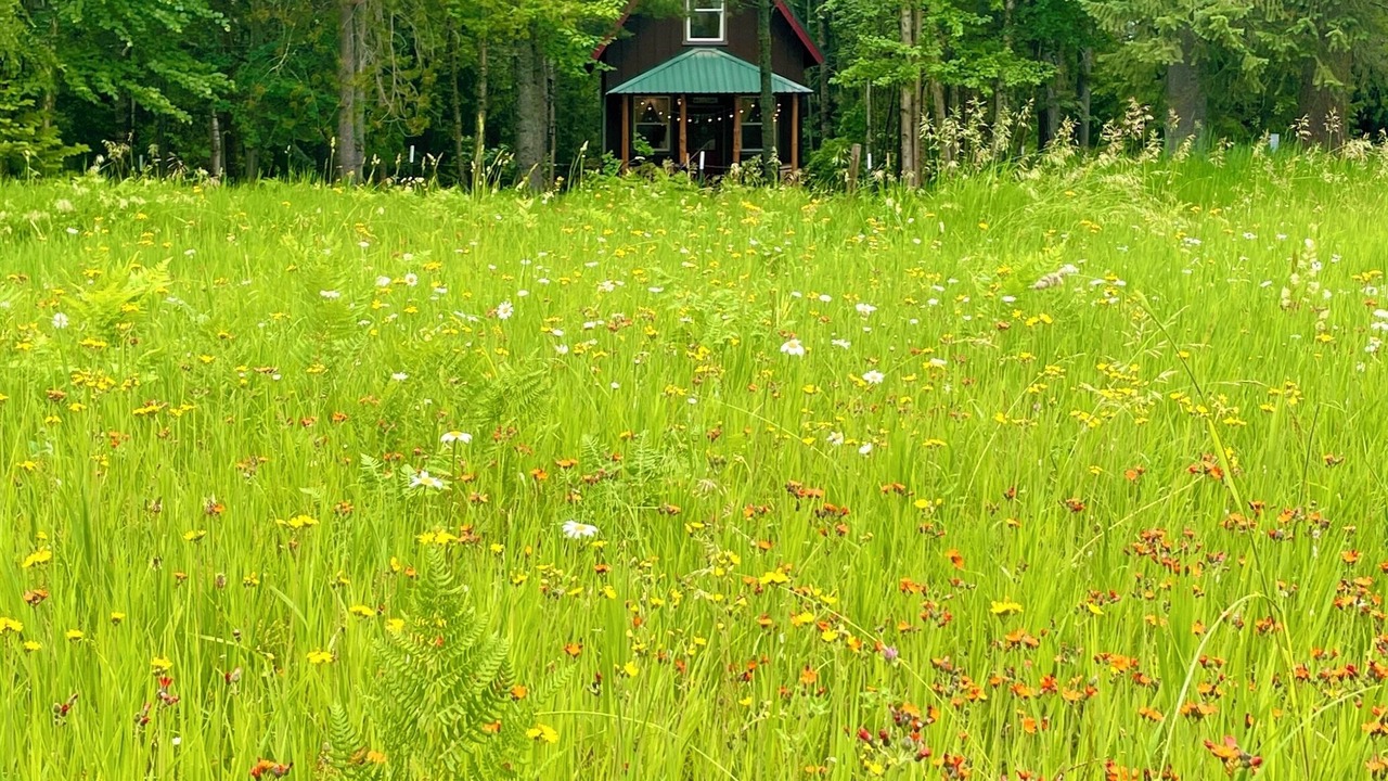 Photo of Outdoor in Sandpoint